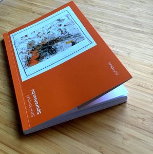 Şafak Sarıçiçek: spurensuche (erschienen im Elif-Verlag)