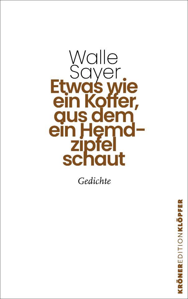Cover des Gedichtbandes »Etwas wie ein Koffer, aus dem ein Hemdzipfel schaut« von Walle Sayer